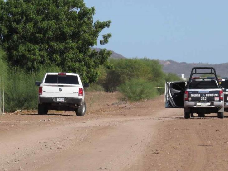 Diario Del Yaqui Identifican A Mujer Asesinada En El Valle Del Yaqui