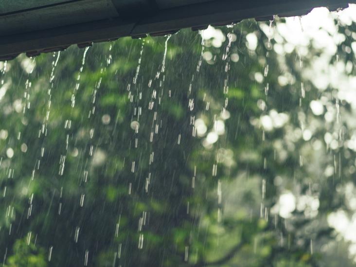 Diario Del Yaqui Llover En Sonora Estos Son Los Estados Donde