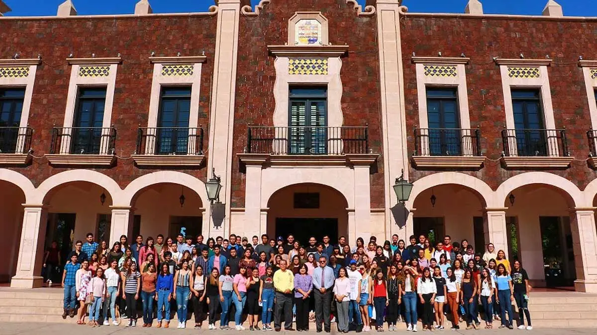 Ayuda a un joven búho