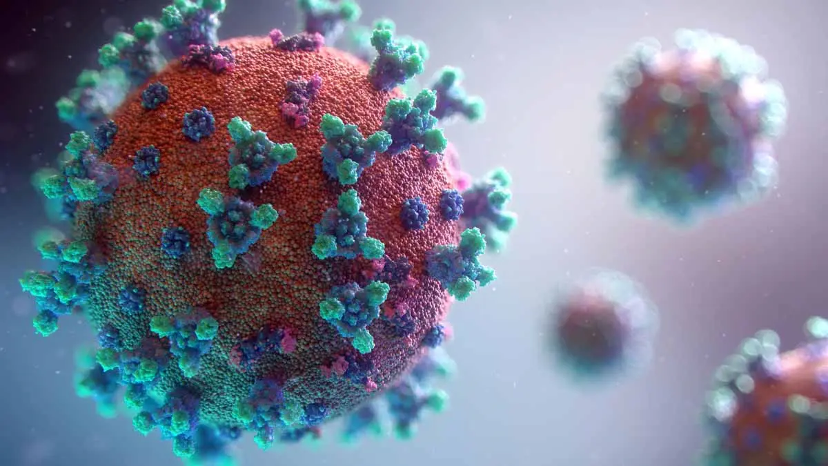 Científicos le encuentran el punto débil del coronavirus