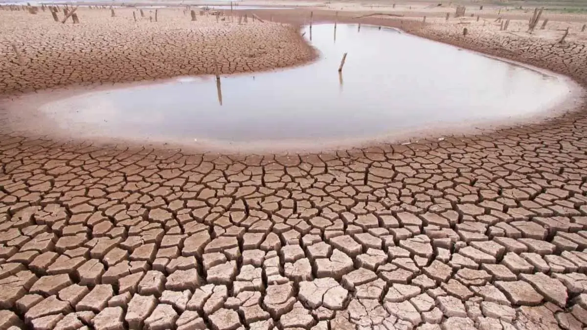 Sequía, pega fuerte al Municipio de Rosario