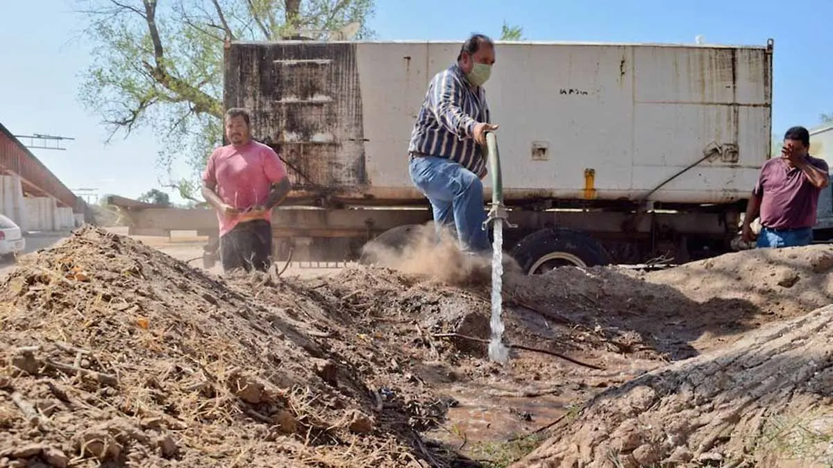 Navojoa, Quiriego y Álamos viven severa sequía