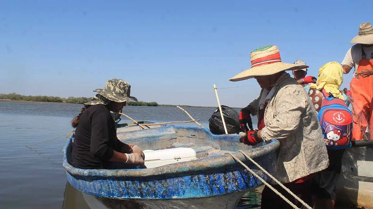 Pescadores sólo recibieron apoyos del Estado
