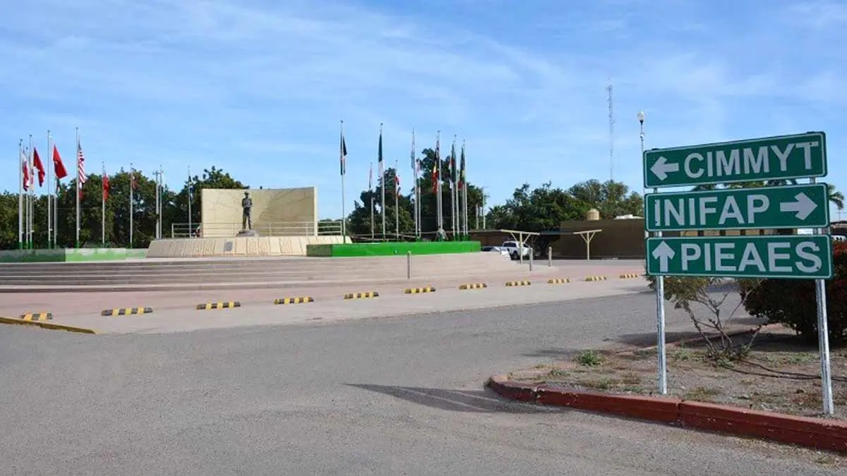 Investigaciones agrícolas están paralizadas