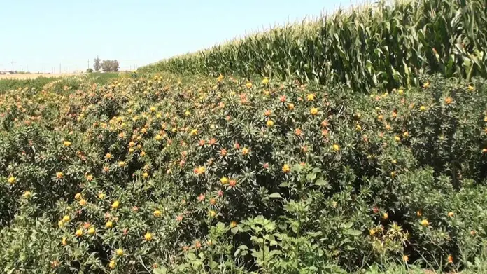 Requiere el agro cambiar