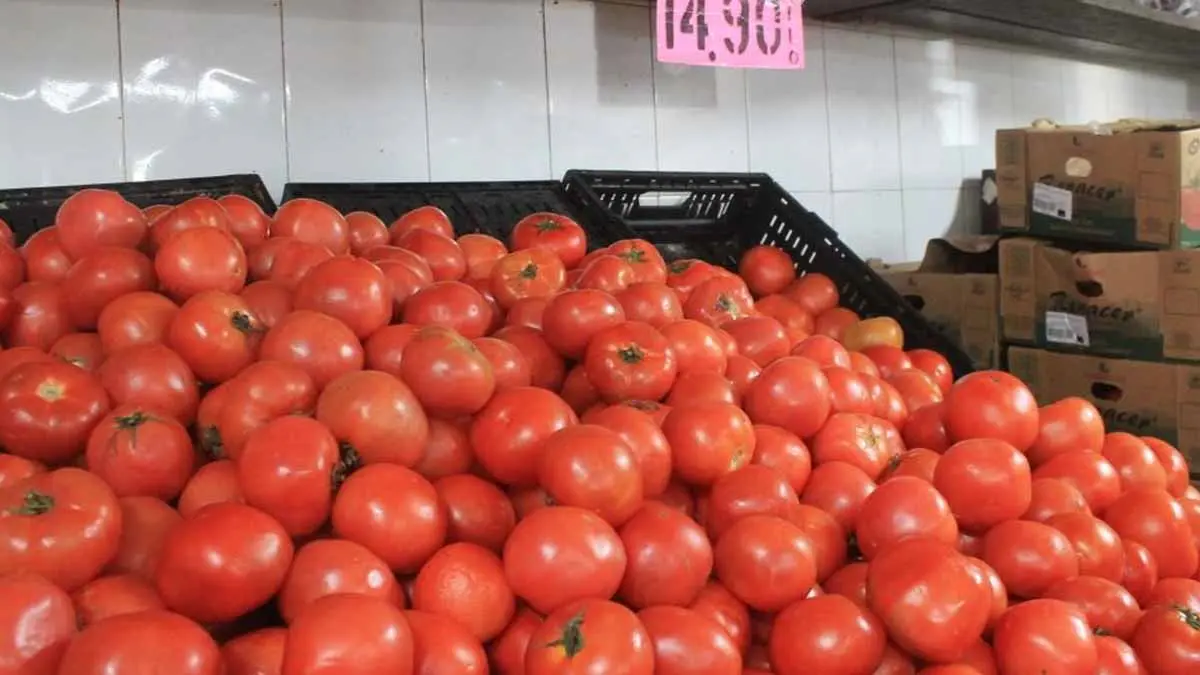 Le suben al tomate