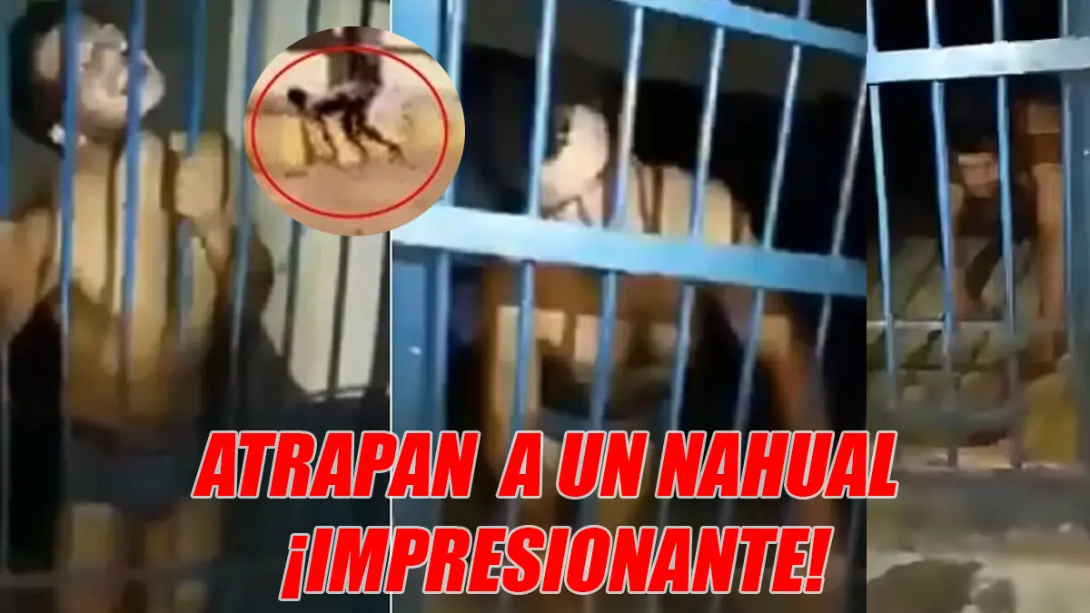 VIDEO: Pobladores de Chiapas atrapan y encierran a un Nahual