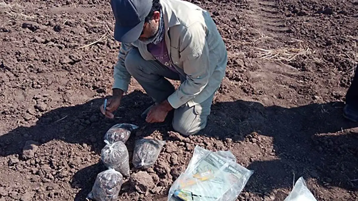 CIAD certificará los biofertilizantes
