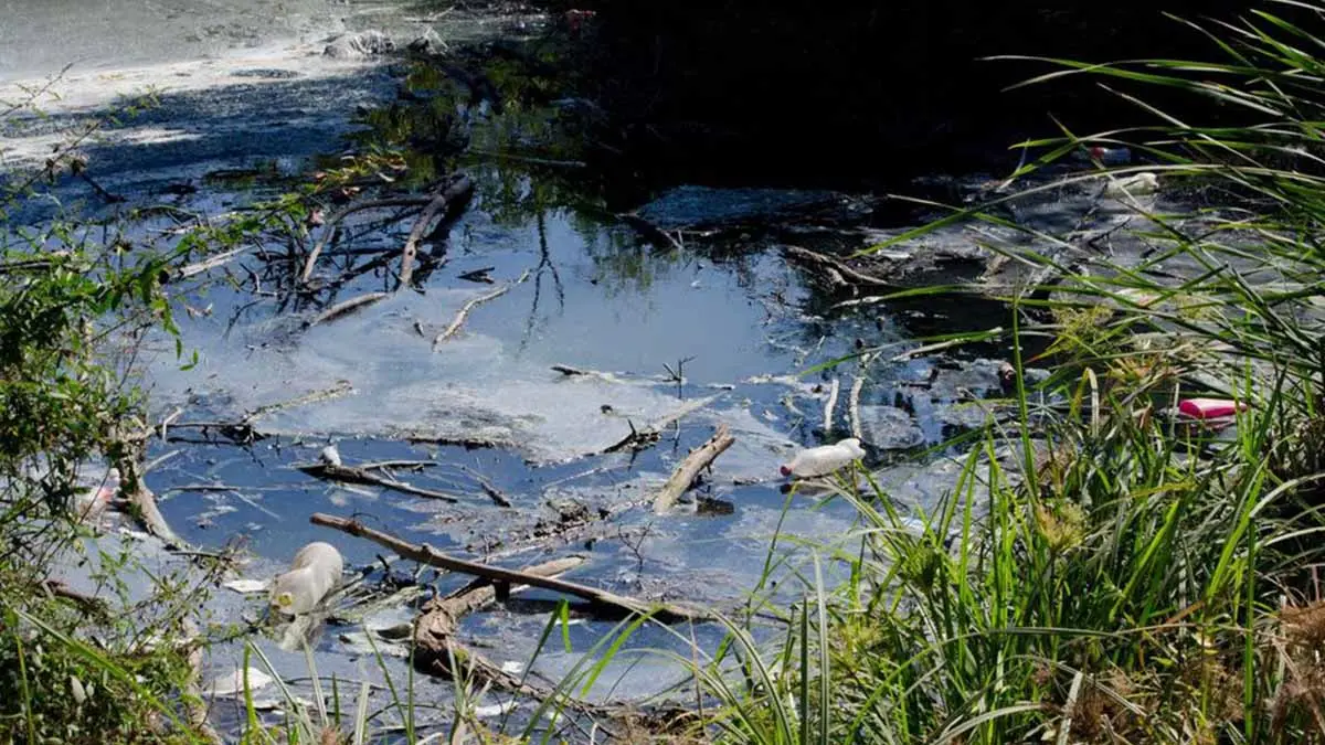 Mayo, £ahogado por contaminación