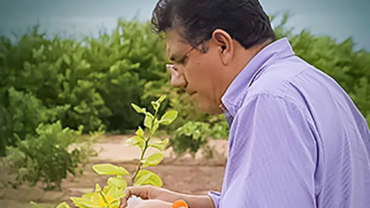 Entregan Premio Nacional de Sanidad Vegetal 2020