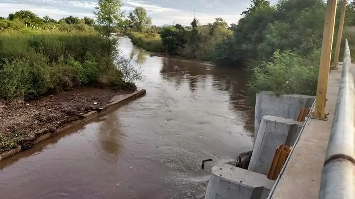 Inician riego al trigo en Navojoa