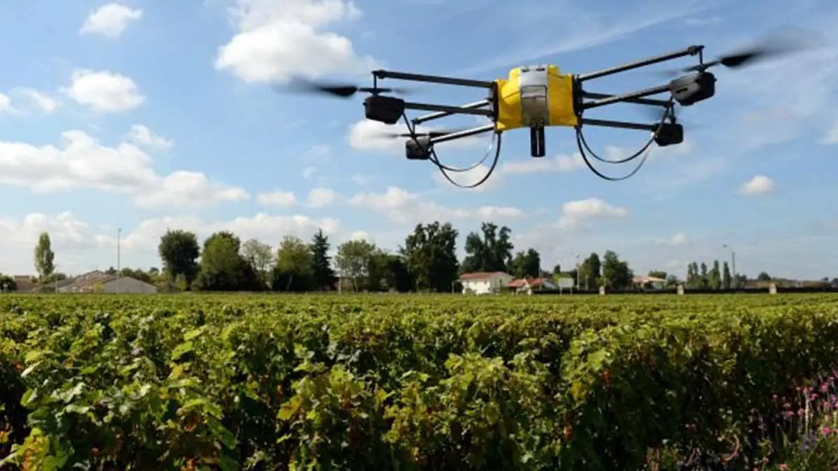 Utilizarán drones fumigadores