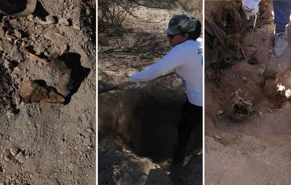 Encuentran osamenta en la colonia Altares en Hermosillo