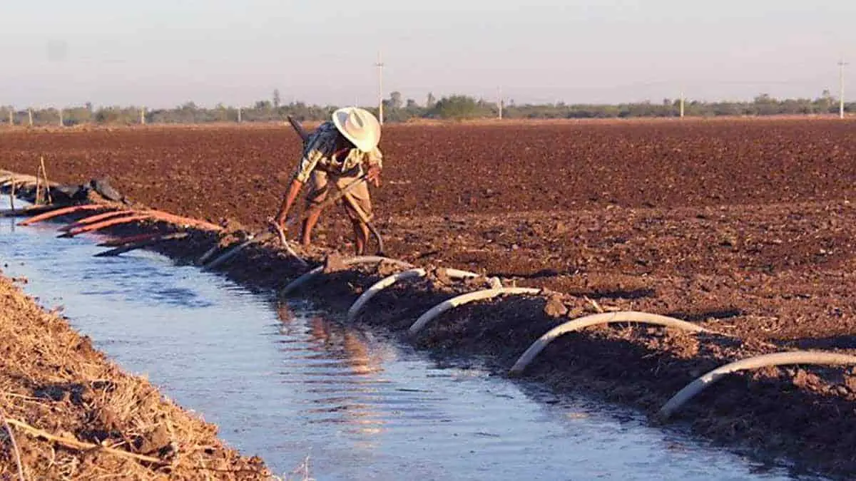 Lenta distribución de agua de riego