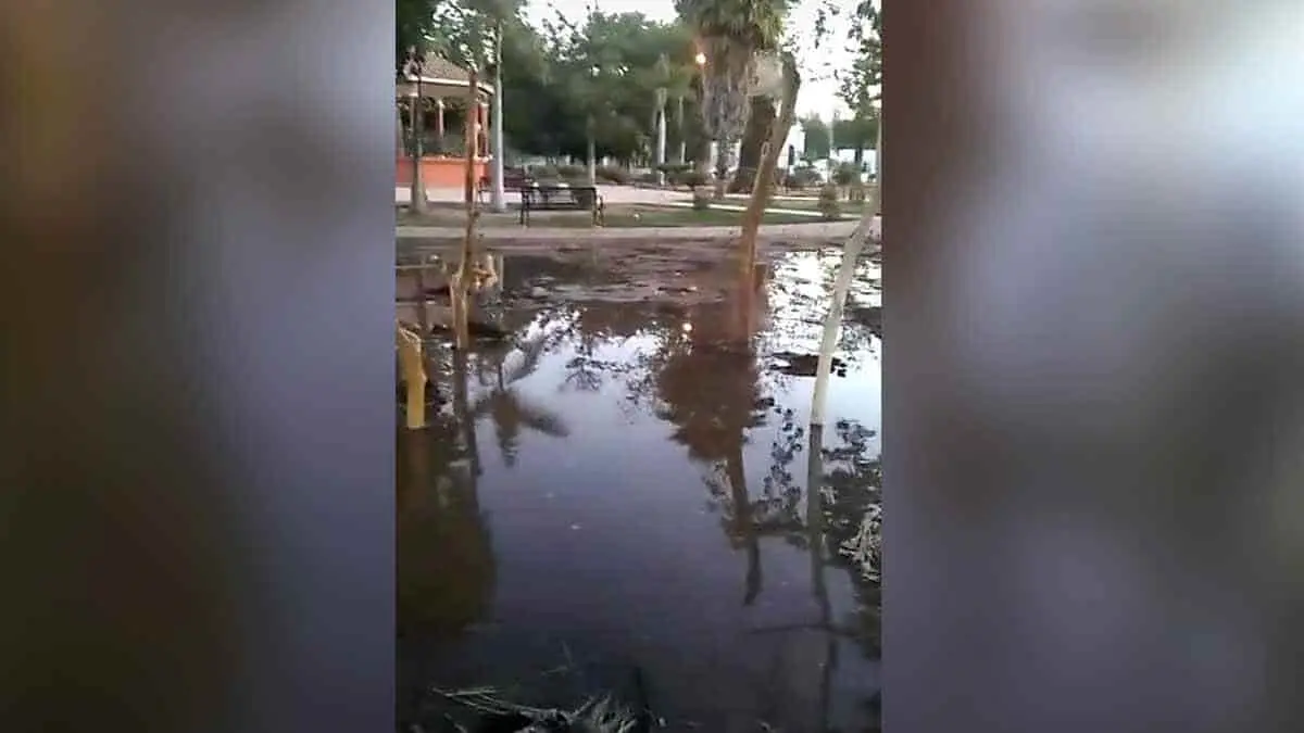 Acusan de causar daños en "ramada"