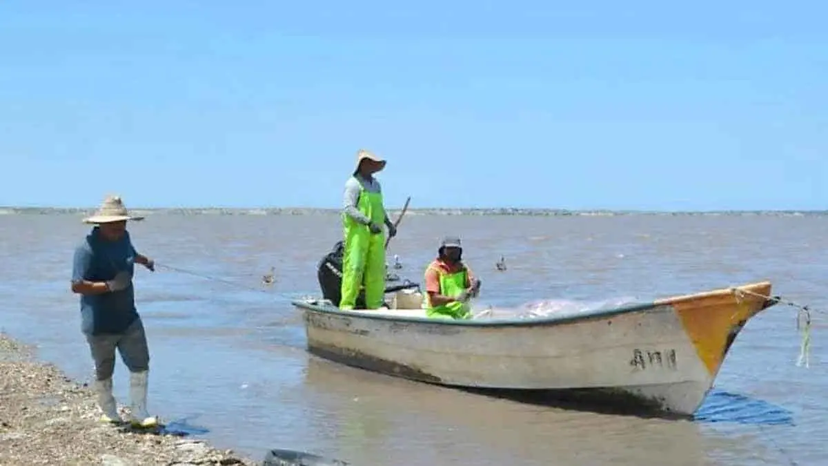 Difícil panorama para pescadores