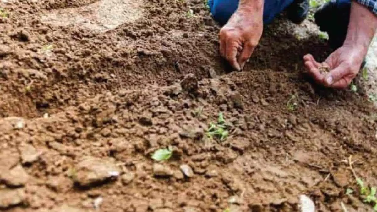 Impulsa México manejo sustentable del suelo