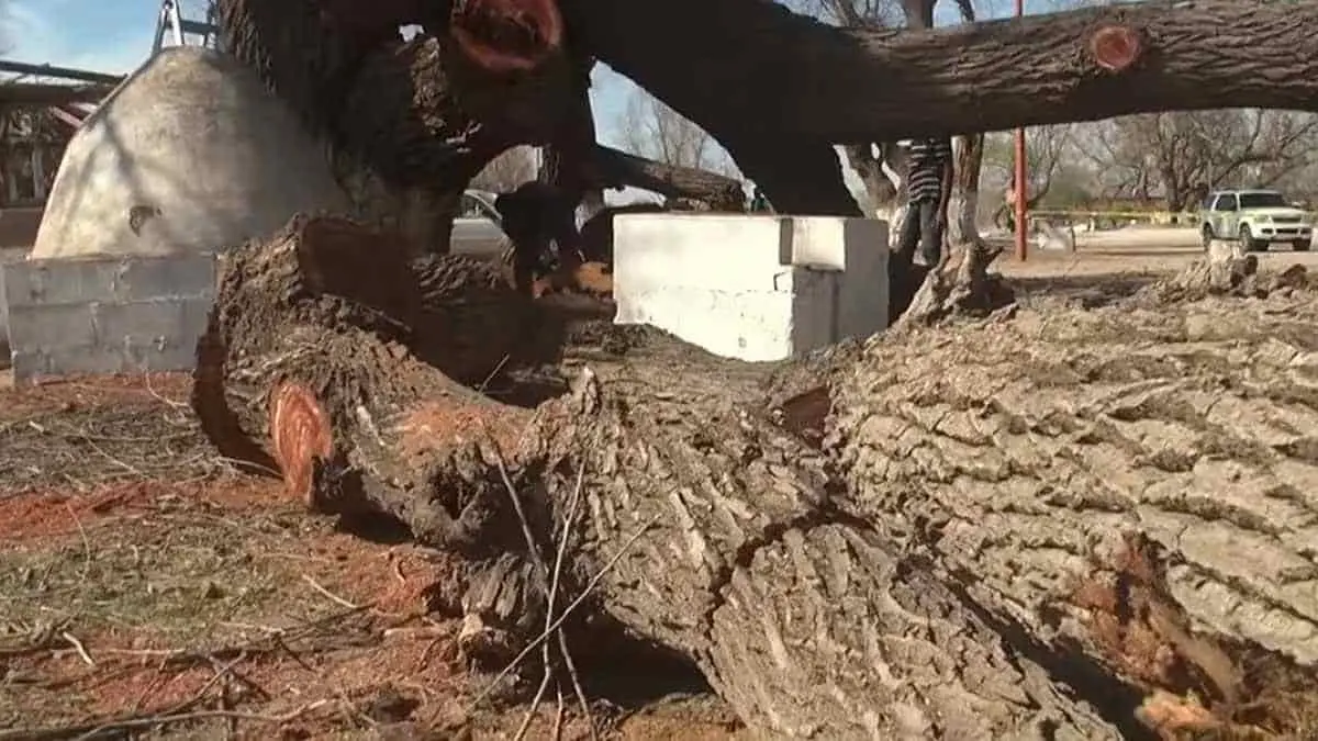 Agricultores ansían las equipatas