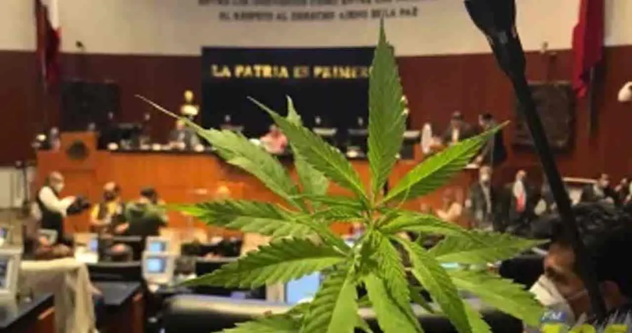 ¿Dónde quedó la matita en la Cámara de Diputados?