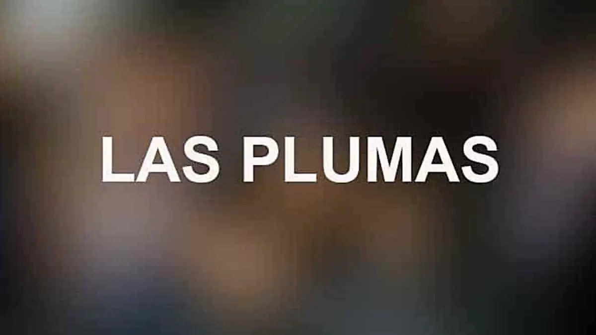 Instituciones y construcciones