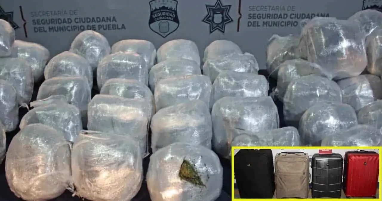 Localizan 100 kilos de mariguana en central de Puebla