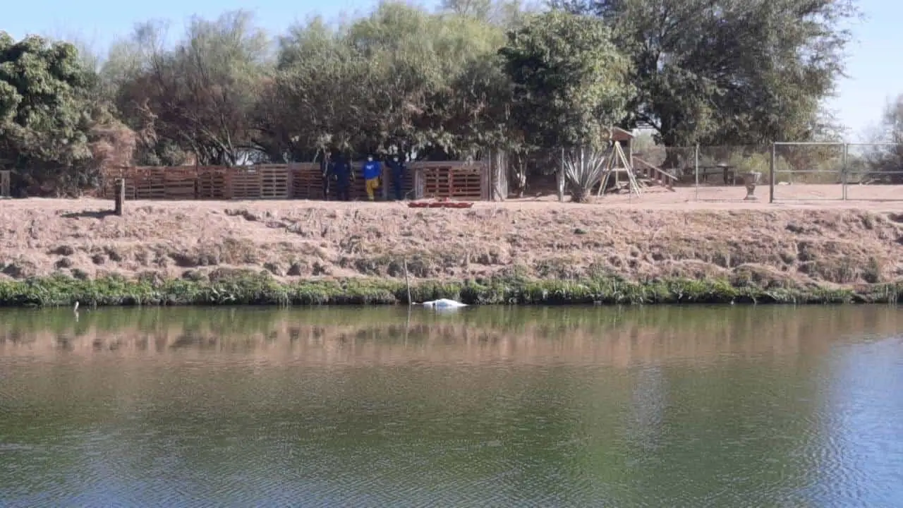 Encuentran cuerpo flotando en canal Bajo