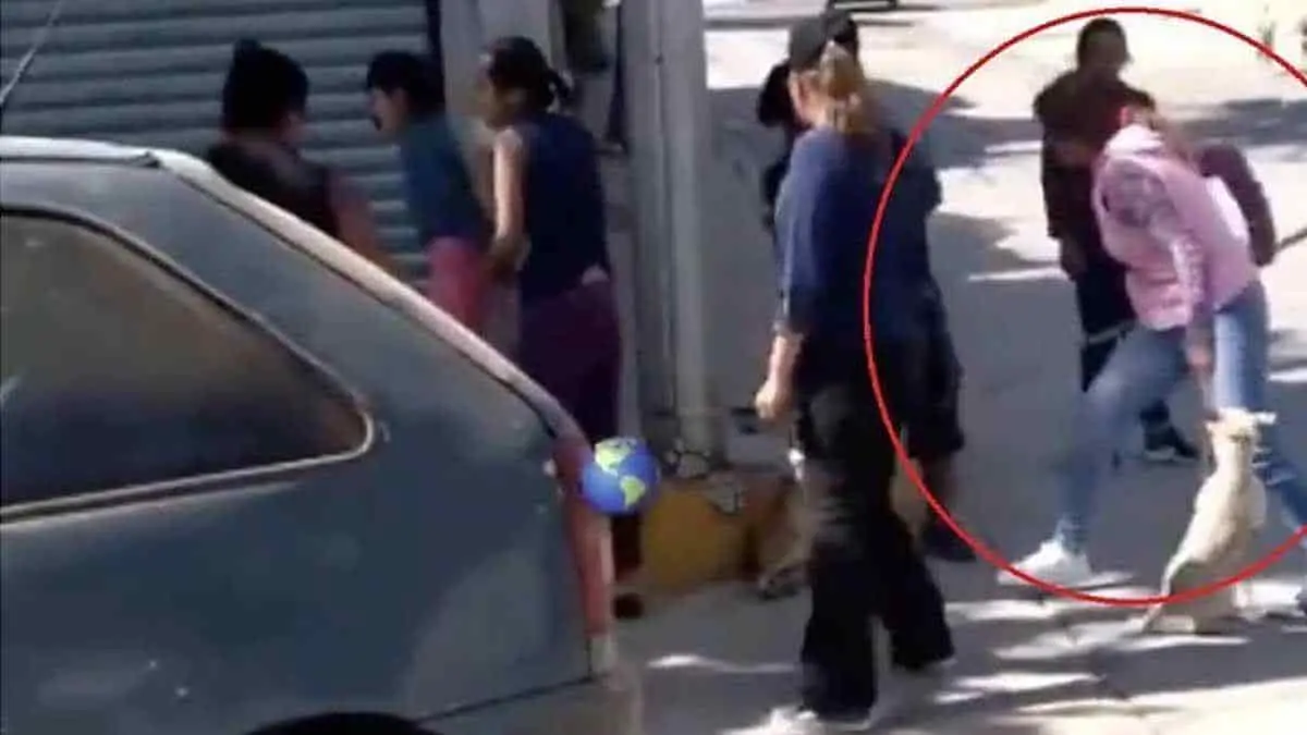 VIDEO: Mujer golpea a perrito, le saca un ojo y muere