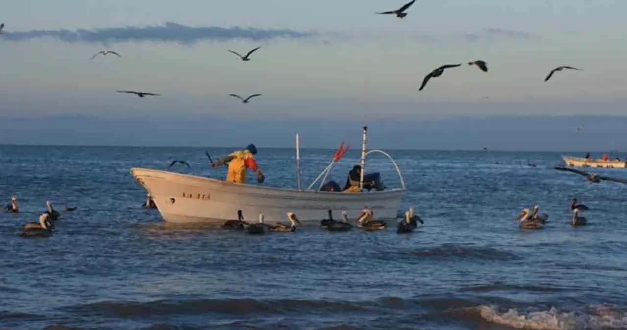 Esperan el Bienpesca