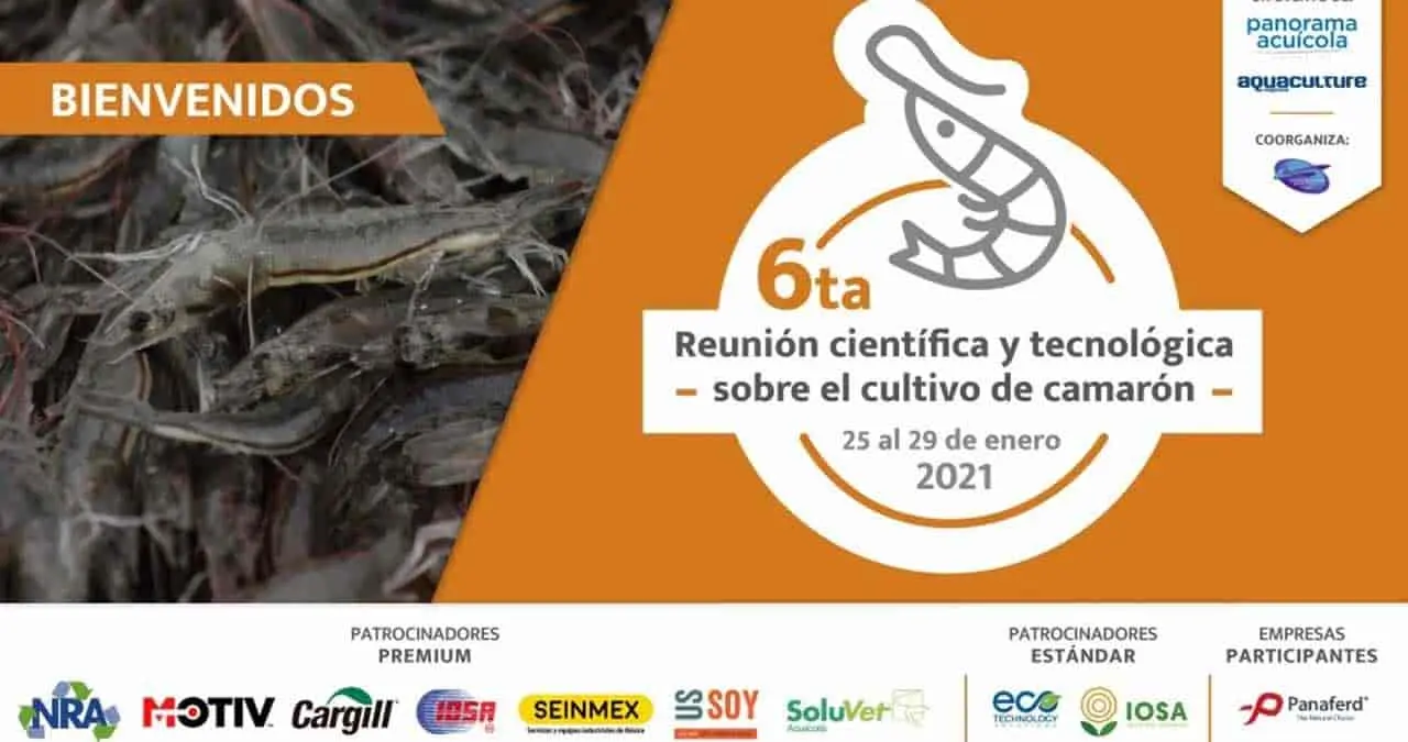 Presentarán avances en cultivo de camarón