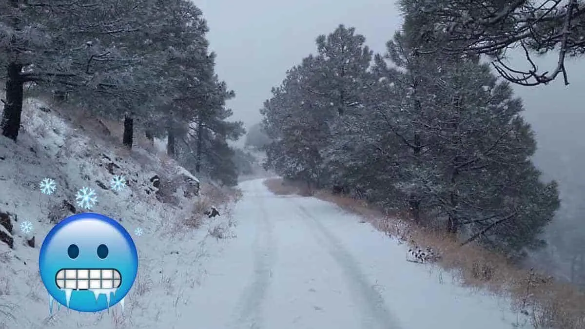 Seguirán las nevadas en Sonora