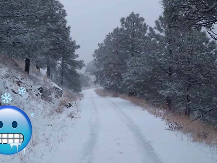 Seguirán las nevadas en Sonora Seguirán las nevadas en Sonora