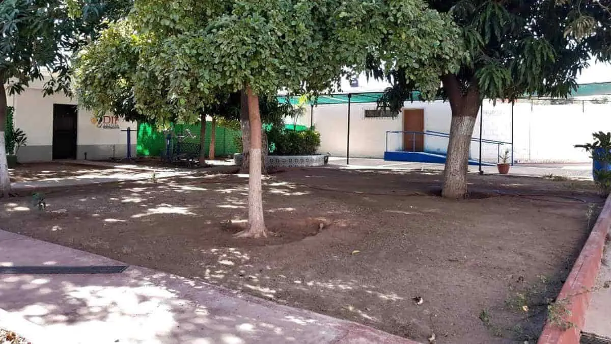 Instalaciones del Inapam están desoladas