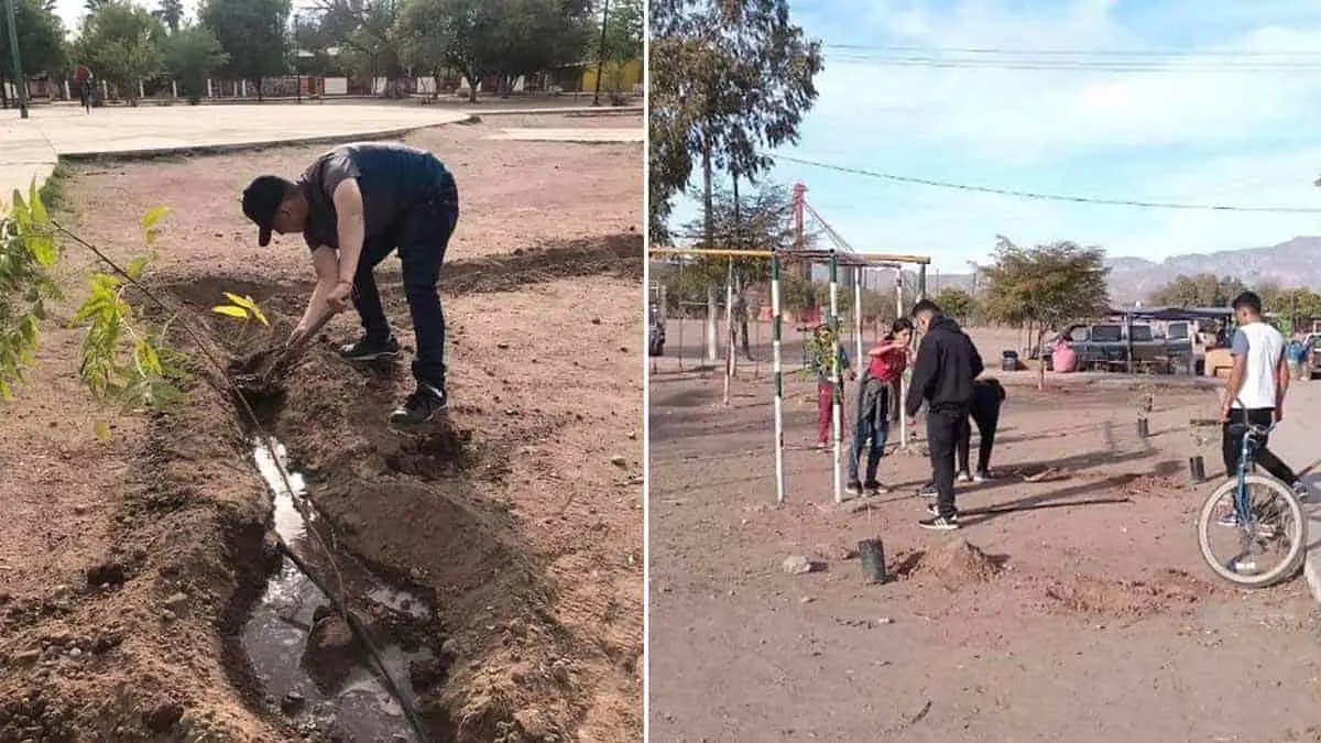 Jóvenes ponen su "granito de arena"