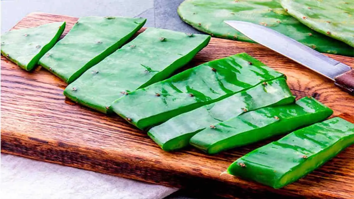 Baba de nopal beneficia la salud