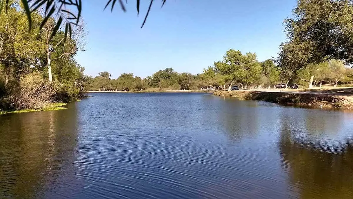 Rescatarán el río Mayo