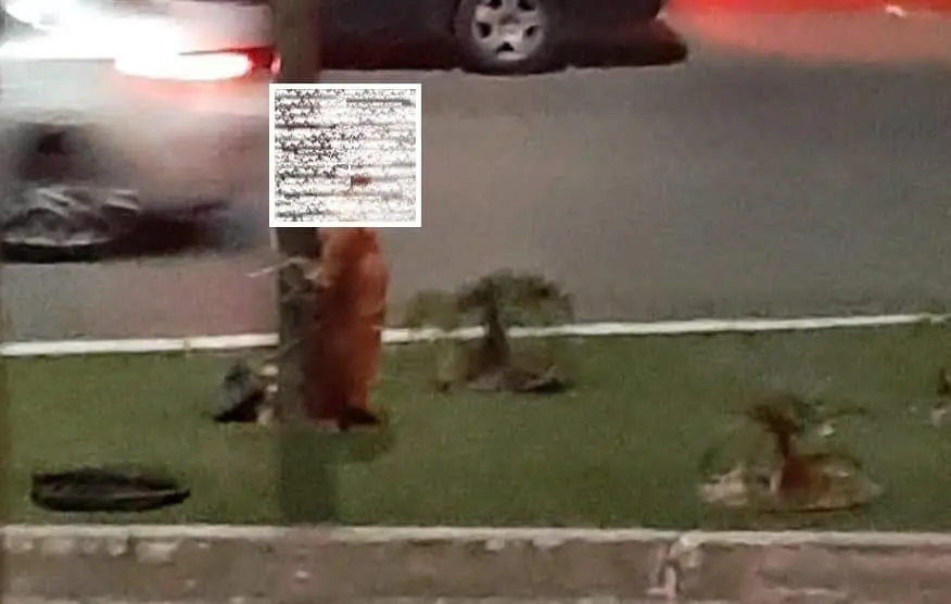 Amarran a poste a presunto ladrón