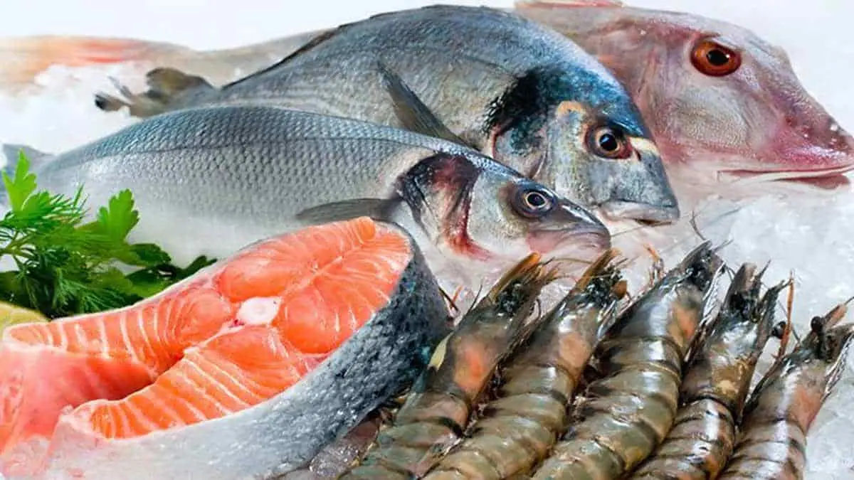 Abasto de pescados y mariscos está garantizado