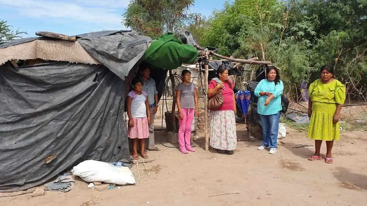 Éxodo de guarijíos