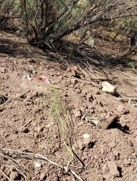 Hallan cadáver semienterrado en la Loma de Guamúchil