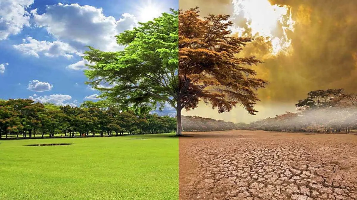 Buscan mitigar el cambio climático