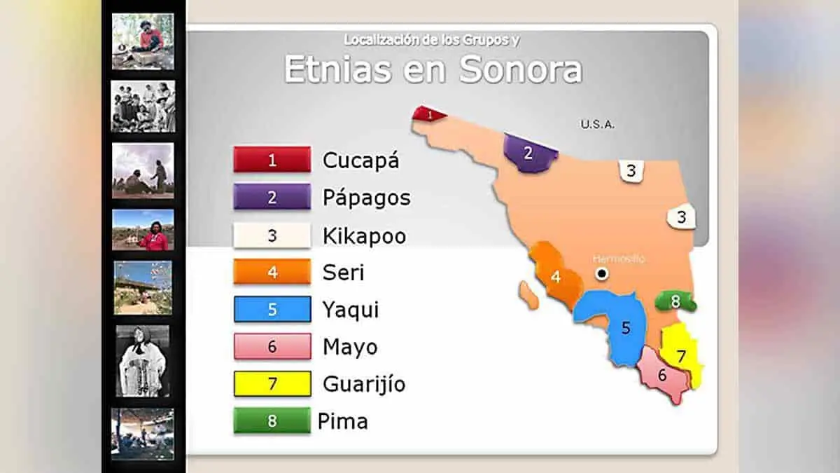 Dialectos están en extinción