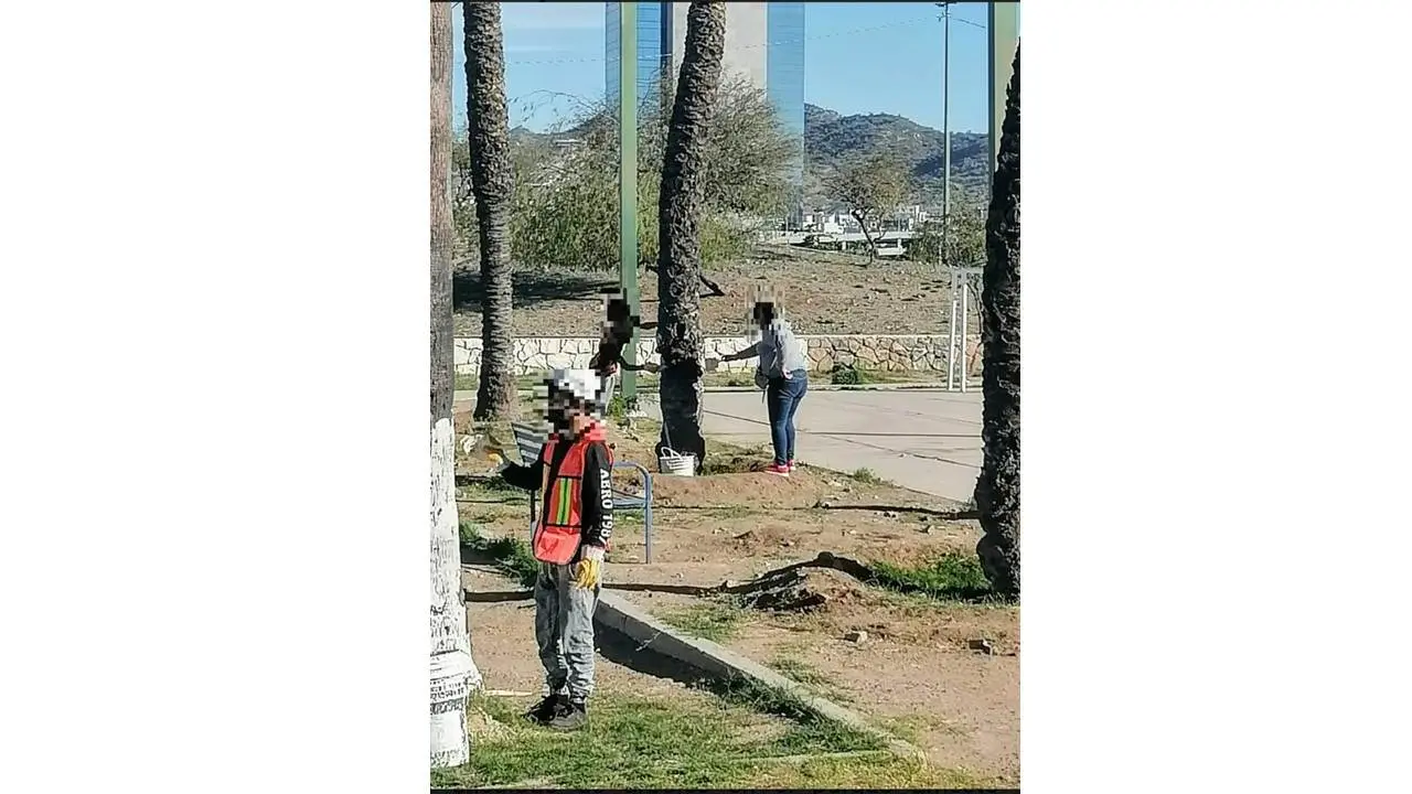 Jóvenes infractores limpian parque