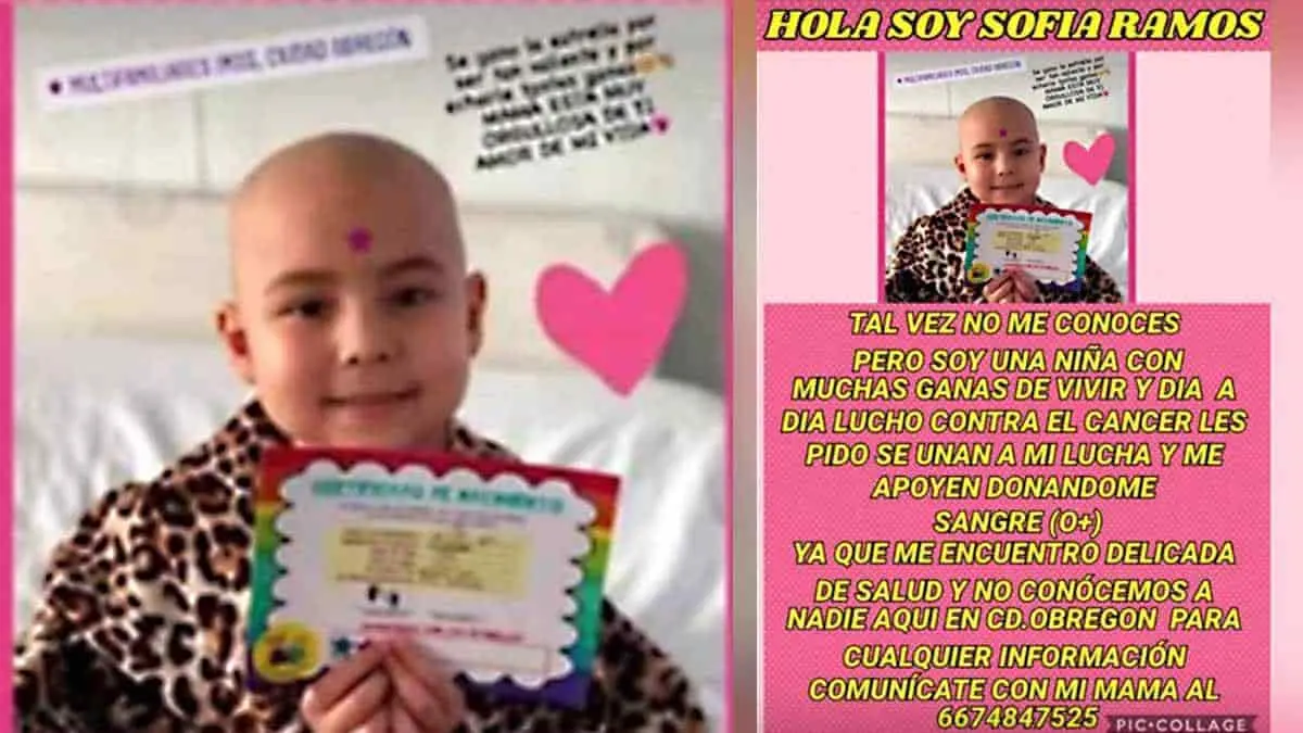 Sofía pide ayuda a los cajemenses