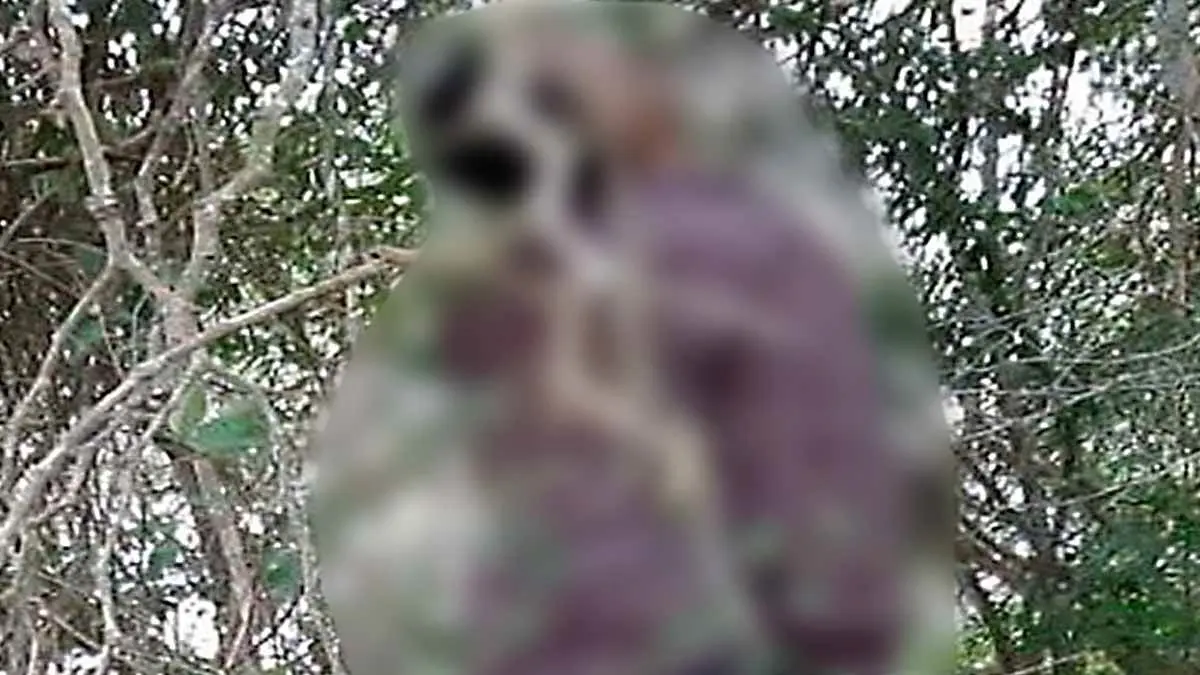 Perro avisa con aullidos el suicidio de su dueño