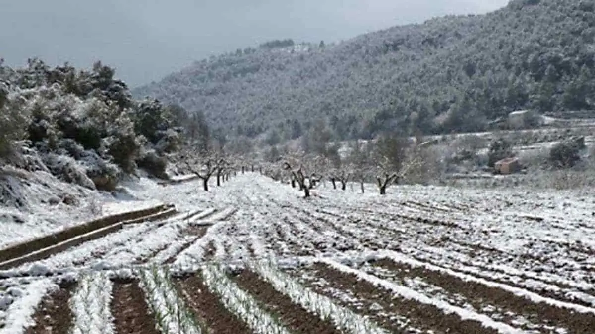 Sin guardar chamarras: bajará la temperatura