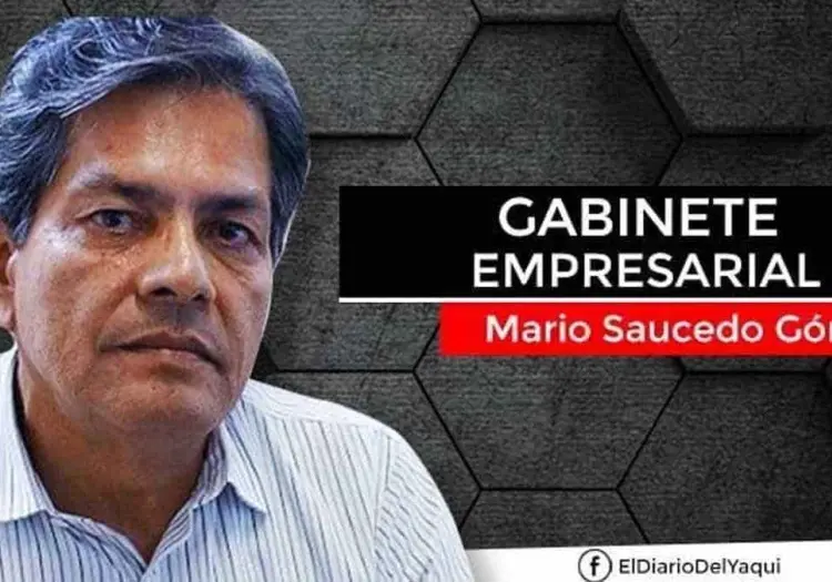 Sur de Sonora: como región económica