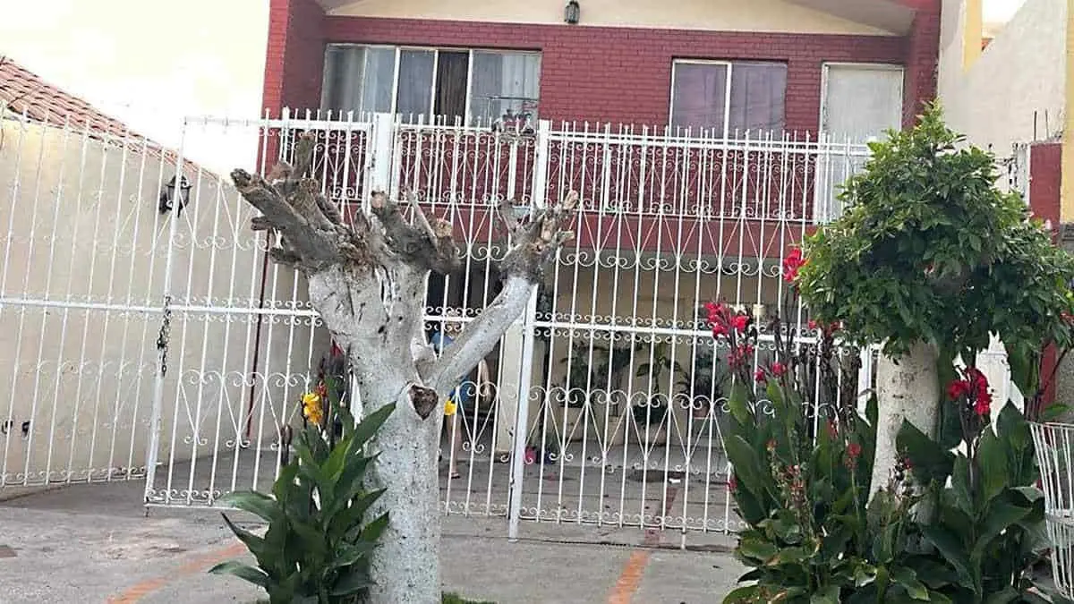 Cae el tercer ejecutado del día, esta vez en la Sochiloa