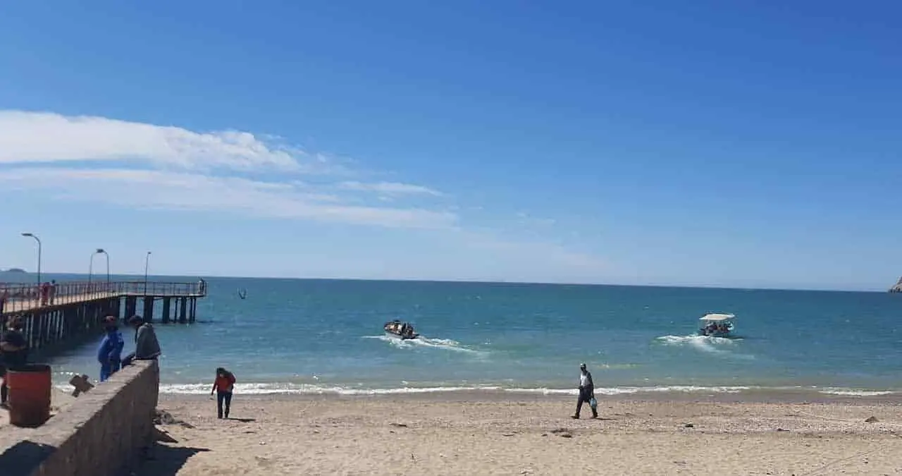 Sobrevive Kino a pandemia gracias al mar
