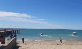 Sobrevive Kino a pandemia gracias al mar Sobrevive Kino a pandemia gracias al mar