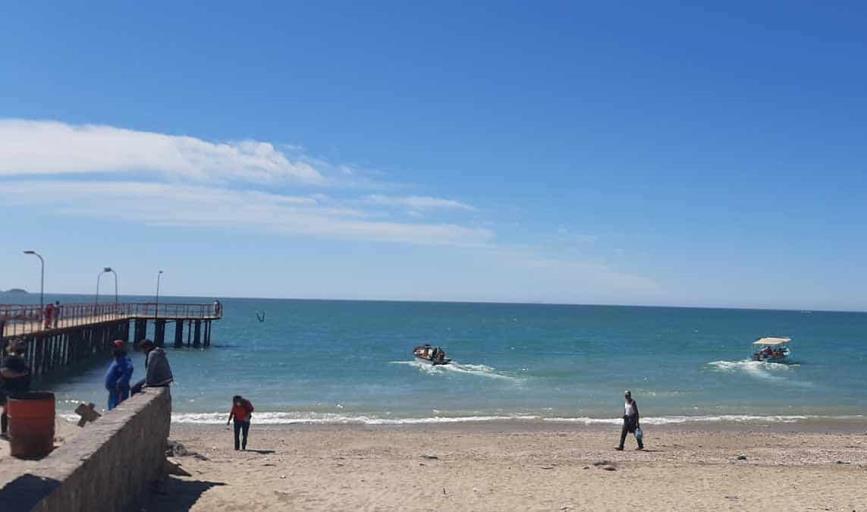 Sobrevive Kino a pandemia gracias al mar